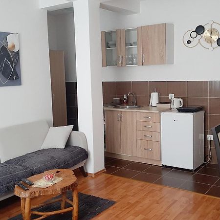 Apartman Andric Βίσεγκραντ Εξωτερικό φωτογραφία