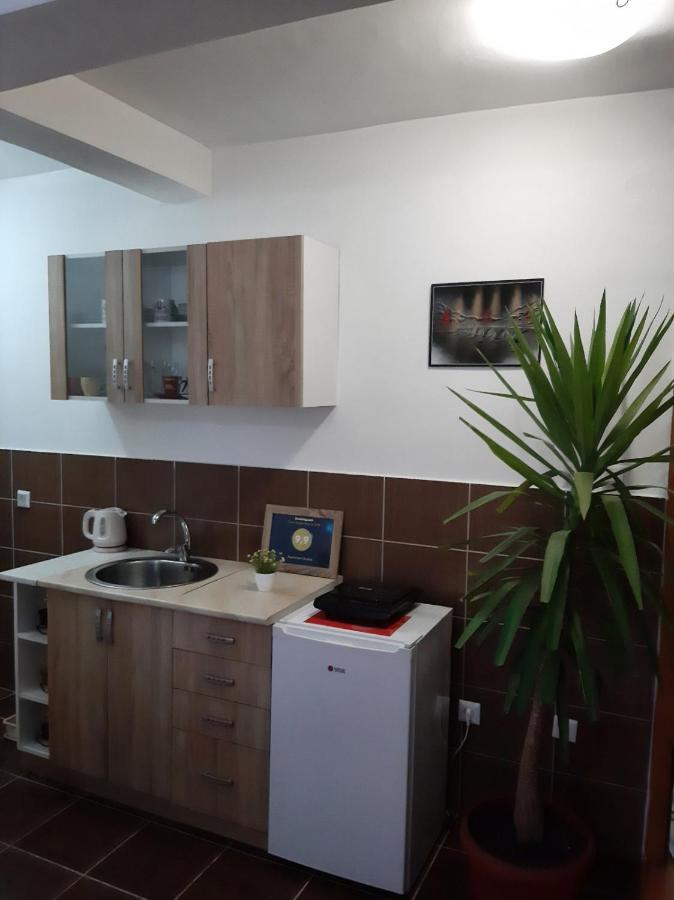 Apartman Andric Βίσεγκραντ Εξωτερικό φωτογραφία
